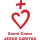 KATERI Polo brodé catholique féminin avec Sacré Coeur JESUS CARITAS
