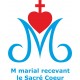 JOACHIM Polo de rugby brodé catholique pour homme avec le M marial bleu azur surmonté du Sacré Coeur