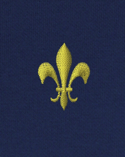 Polo homme LOUIS marine brodé fleur dde lys