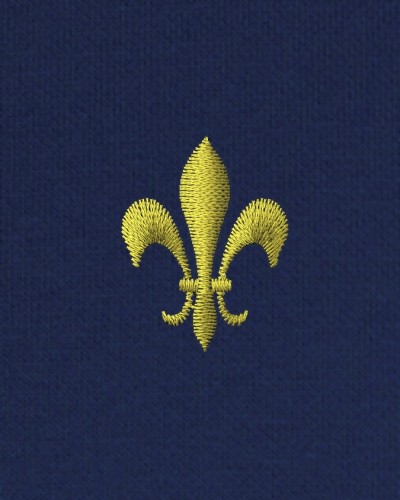 Polo français homme Chartres brodé Fleur de lys MC